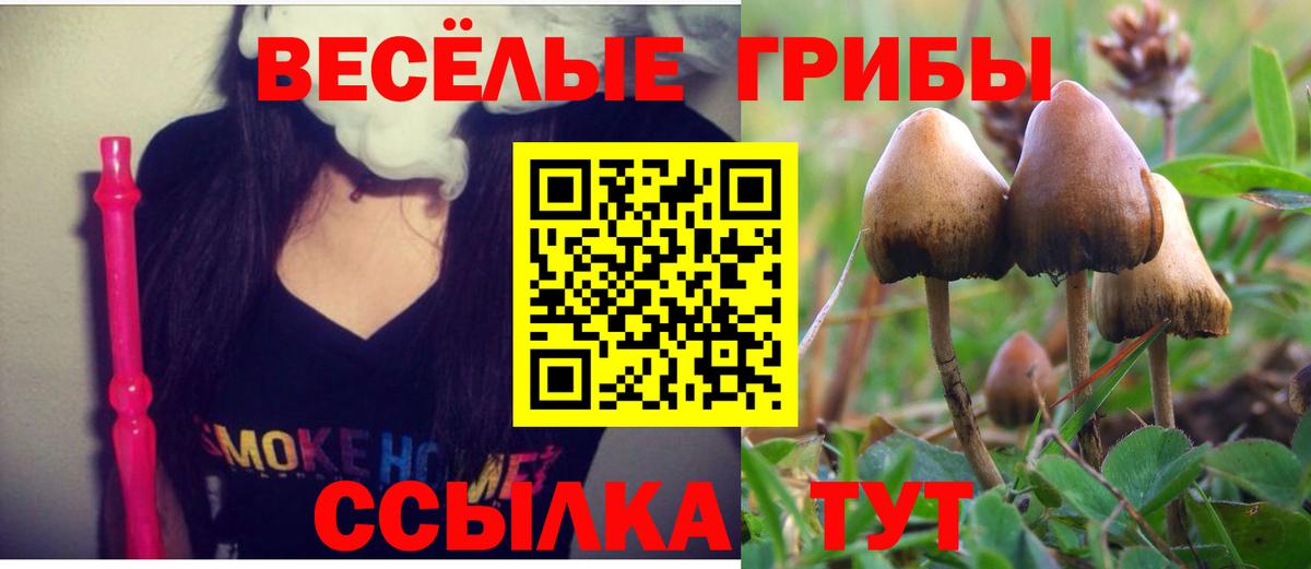 Псилоцибиновые грибы Magic Shrooms Берёзовский