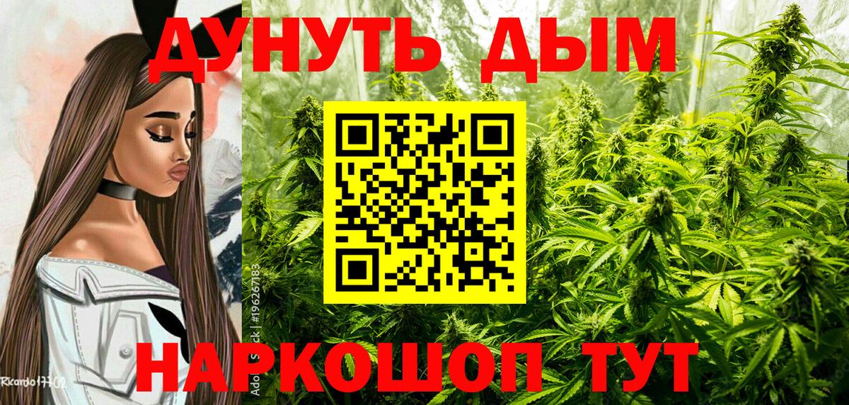 Бошки марихуана план  Канабис планчик  Берёзовский 